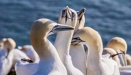 九游网游官网-欧国联最新消息曝光，国家队豪取欧锦赛战胜利，欧国联比赛赛程